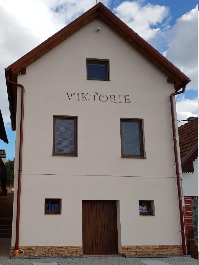 Apartmán s vinným sklepem VIKTORIE Pouzdřany Exterior foto